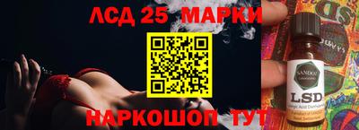 прущие грибы Шебекино