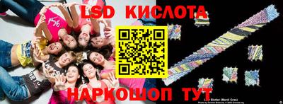 прущие грибы Шебекино