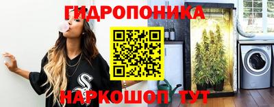 ECSTASY Шахты
