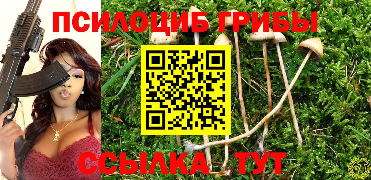 Псилоцибиновые грибы ЛСД Гусиноозёрск
